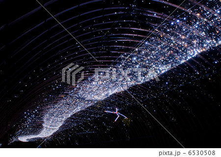 京の七夕　光の天の川 6530508