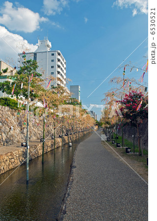 京の七夕 堀川の願い七夕飾り 京の七夕 堀川の願い七夕飾り 6530521