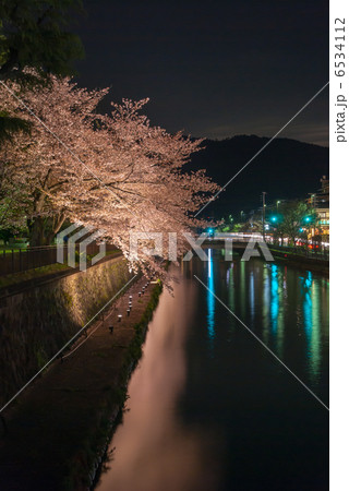 岡崎桜回廊 6534112