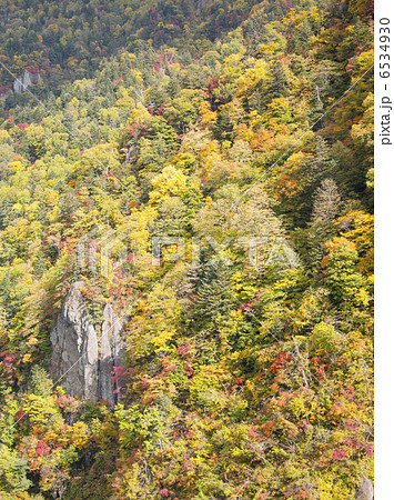 豊平峡(札幌市 定山渓) 豊平峡(札幌市 定山渓) 6534930