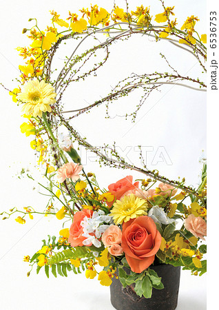 Angel Spring 6536753