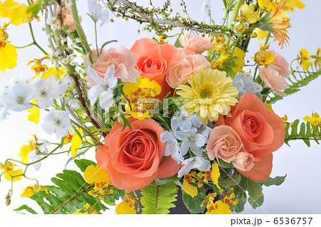 Angel Spring 6536757