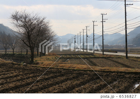 田園 田園 6536827