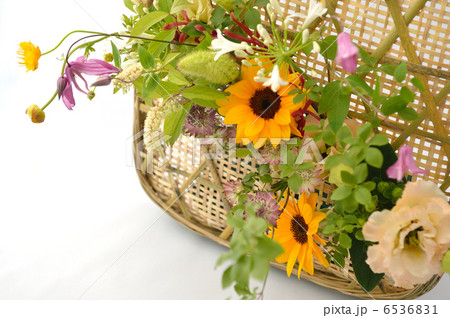 WA Summer WA Summer 6536831