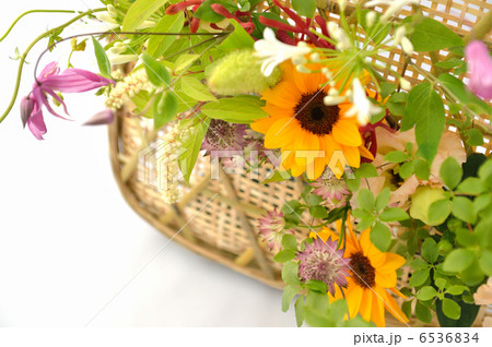 WA Summer WA Summer 6536834