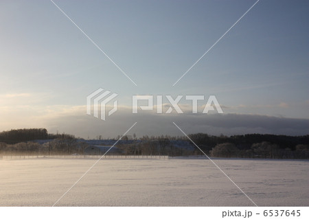 雪原 6537645