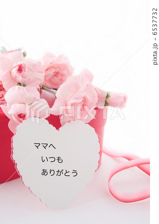 ありがとうのカードとカーネーションとプレゼント 6537732