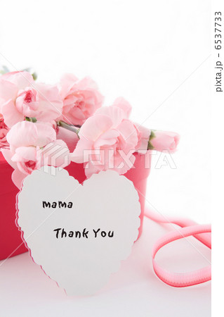 サンキューカードとプレゼントとカーネーション 6537733