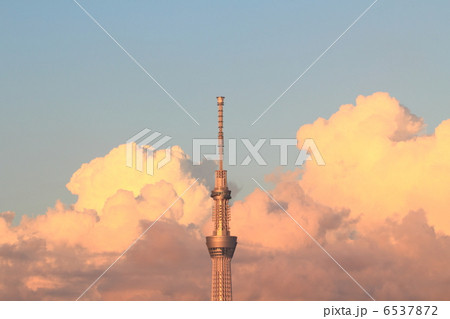 東京スカイツリー　朝日　雲　 6537872