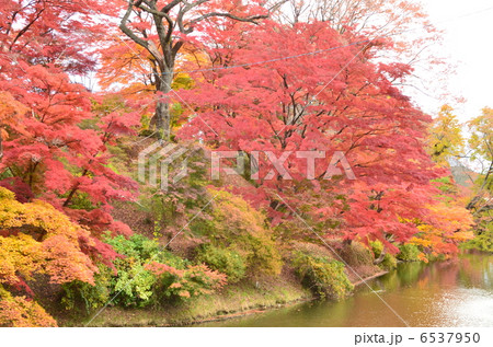 棚倉城跡 6537950