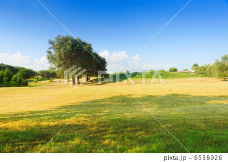 Golf course Golf course 6538926