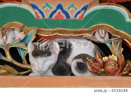 眠り猫 6539288