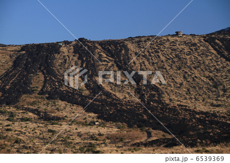 大島三原山 6539369