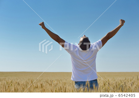 man in wheat field 6542405