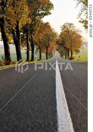 country road country road 6544553