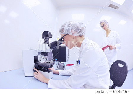 scientists working at the laboratory scientists working at the laboratory 6546562