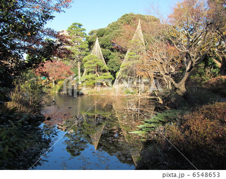 早稲田 甘泉園公園 早稲田 甘泉園公園 6548653