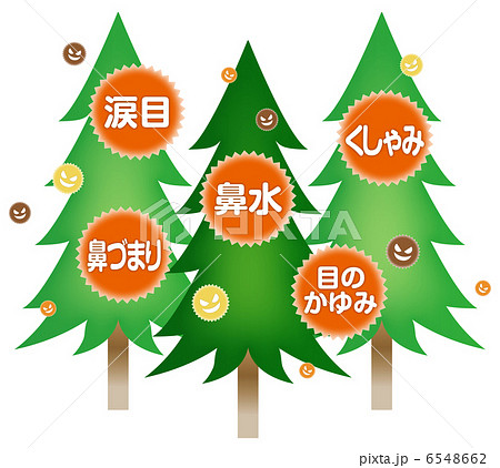 花粉症状A-2 6548662