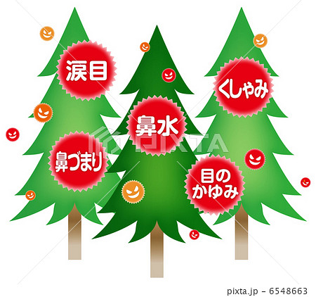 花粉症状A-3 6548663