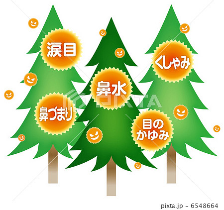 花粉症状A-4 花粉症状A-4 6548664