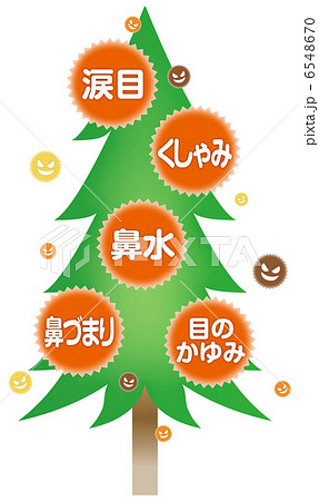 花粉症状B-6 6548670