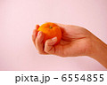 みかんを持つ　2 6554855