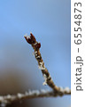 樹氷 6554873