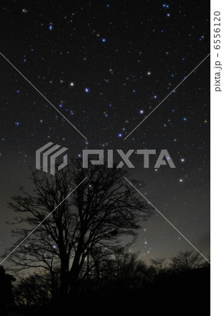 北の星空 北の星空 6556120
