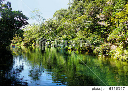 ビオスの丘　自然植物観賞施設 6556347