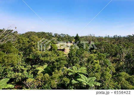 ビオスの丘　自然植物観賞施設 6556422