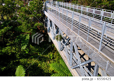 ビオスの丘　自然植物観賞施設 6556425