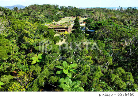 ビオスの丘　自然植物観賞施設 6556460