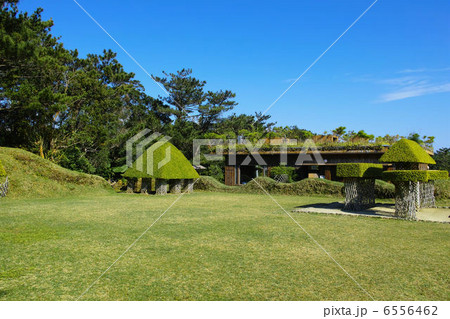 ビオスの丘 自然植物観賞施設 ビオスの丘 自然植物観賞施設 6556462