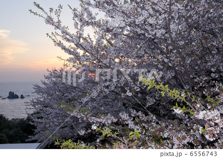 天草灘夕景 6556743