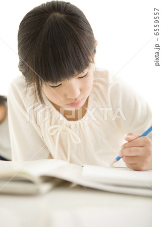 勉強をする女の子 6559557