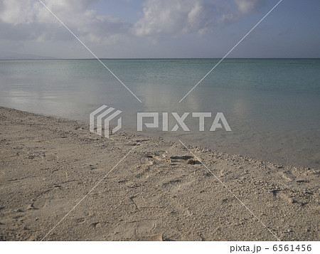 ビーチ 6561456