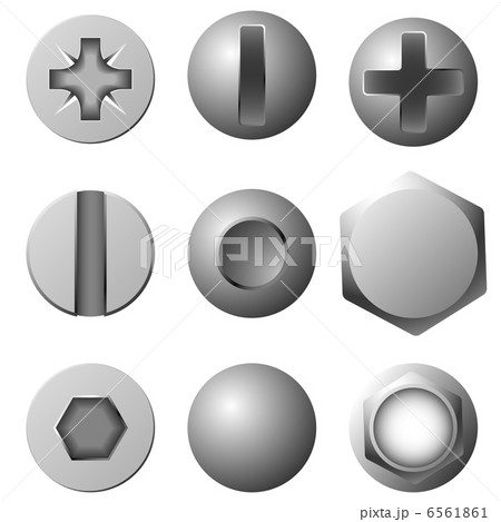 Vector set of screws, bolts and rivets isolated on white backgro 6561861