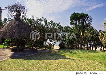 チガヤ屋根 万座ビーチ チガヤ屋根 万座ビーチ 6562922