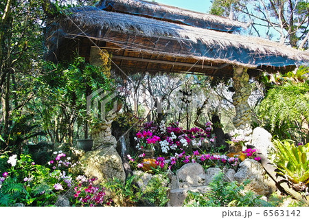 ビオスの丘　自然植物観賞施設 6563142