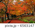 丹波・円通寺の紅葉 6563147