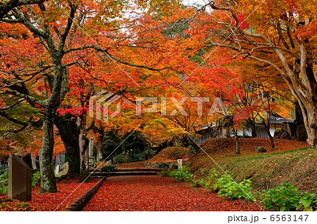 丹波 円通寺の紅葉の写真素材