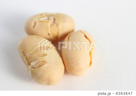 福豆 福豆 6563647