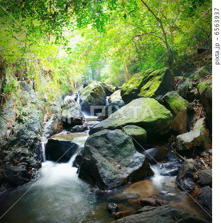 Forest photography, mountain river and mossy stones Forest photography, mountain river and mossy stones 6563937