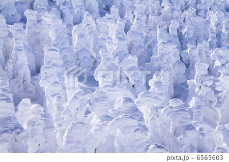 蔵王の樹氷 6565603