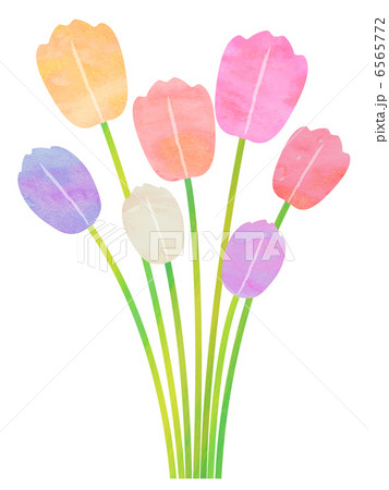 チューリップの花束 6565772