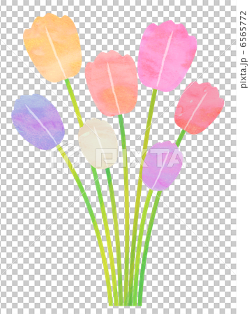 チューリップの花束 6565772