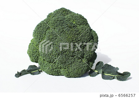 ブロッコリー 6566257