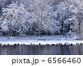 冬の湖 6566460