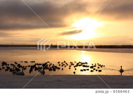 朝焼けの湖 6566463