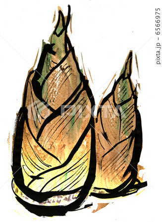 タケノコ 6566975